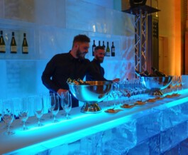 FLAGRIS - Professionelles Personal für jeden Anlass