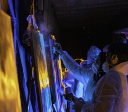 FLAGRIS - Professionelles Personal für jeden Anlass